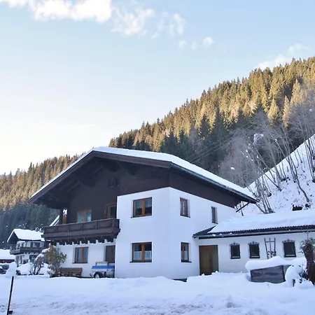 Apartment In Dienten Near Lift