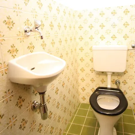 Апартаменты In Dienten Near Lift Динтен-ам-Хохкёниг