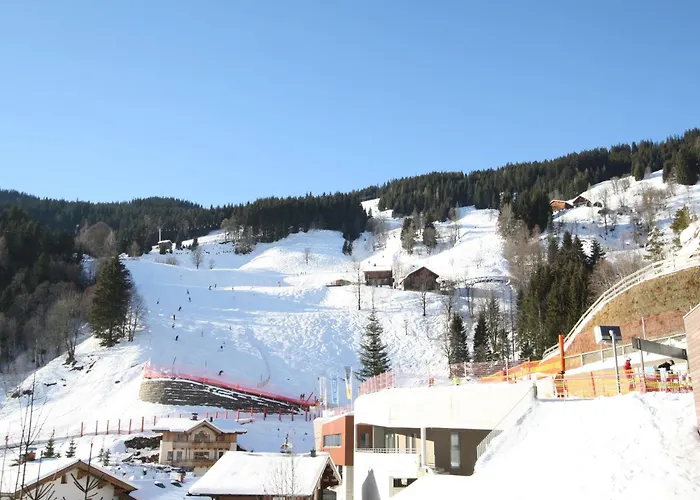 In Dienten Near Lift Διαμέρισμα Dienten am Hochkönig